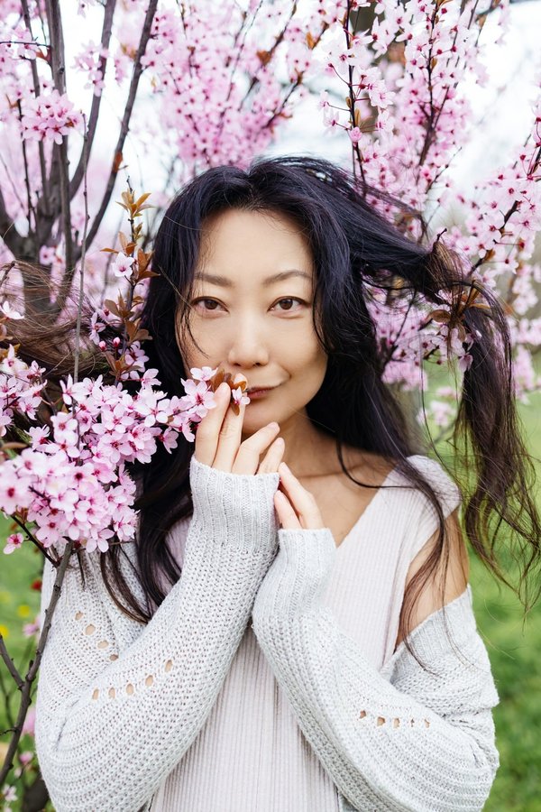 Quels sont les festivals de fleurs de cerisier à ne pas manquer au Japon?
